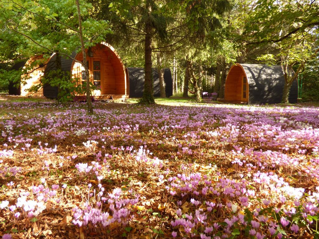 La Rossignolerie - Pod Cabanes Des Chateaux Chouzy-sur-Cisse المظهر الخارجي الصورة