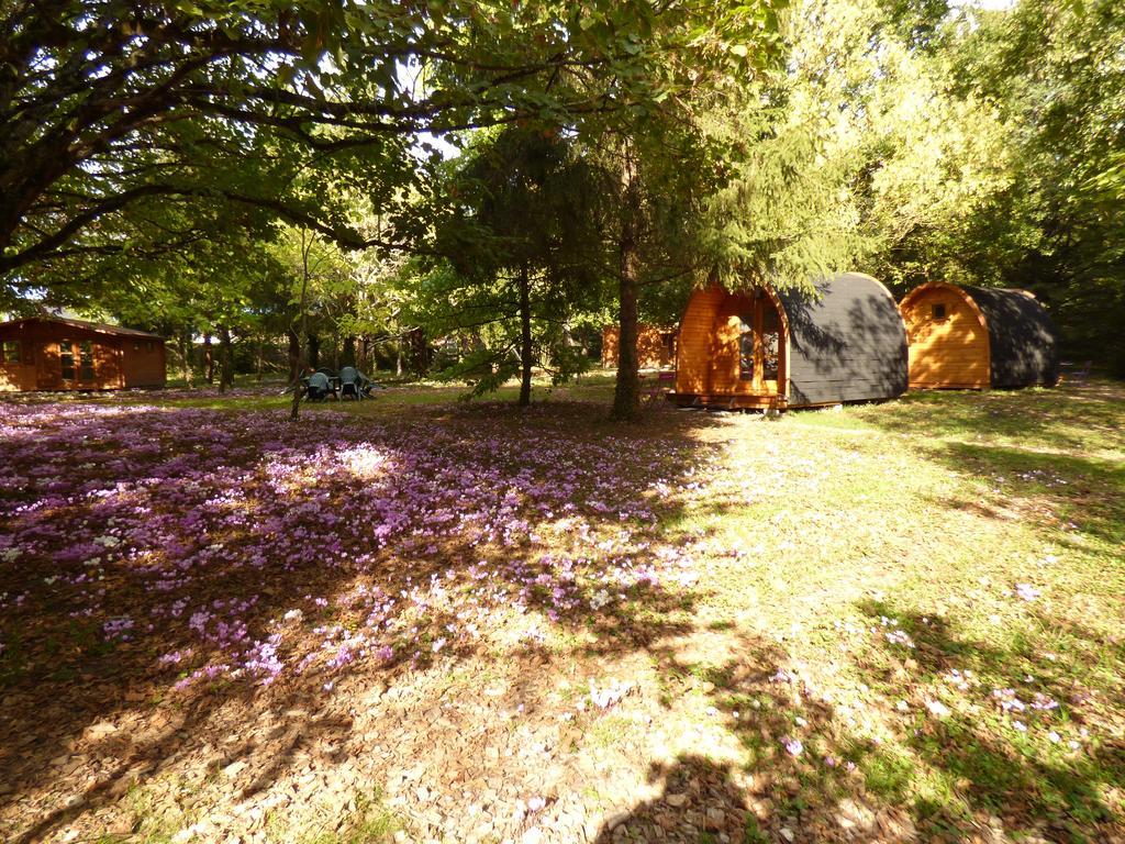 La Rossignolerie - Pod Cabanes Des Chateaux Chouzy-sur-Cisse المظهر الخارجي الصورة