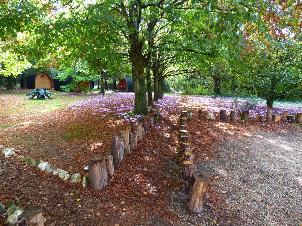 La Rossignolerie - Pod Cabanes Des Chateaux Chouzy-sur-Cisse المظهر الخارجي الصورة